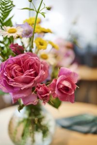 _DSC5916 1©Nikolaus Schmitz